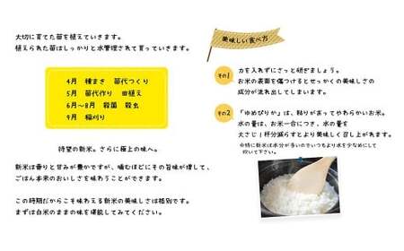 【令和8年産】 蘭越産 ゆめぴりか玄米 10kg 【2026年11月上旬~2027年3月下旬まで順次発送予定】 玄米 米 お米 コメ ゆめぴりか 冷めても おいしい 常温 北海道 蘭越町