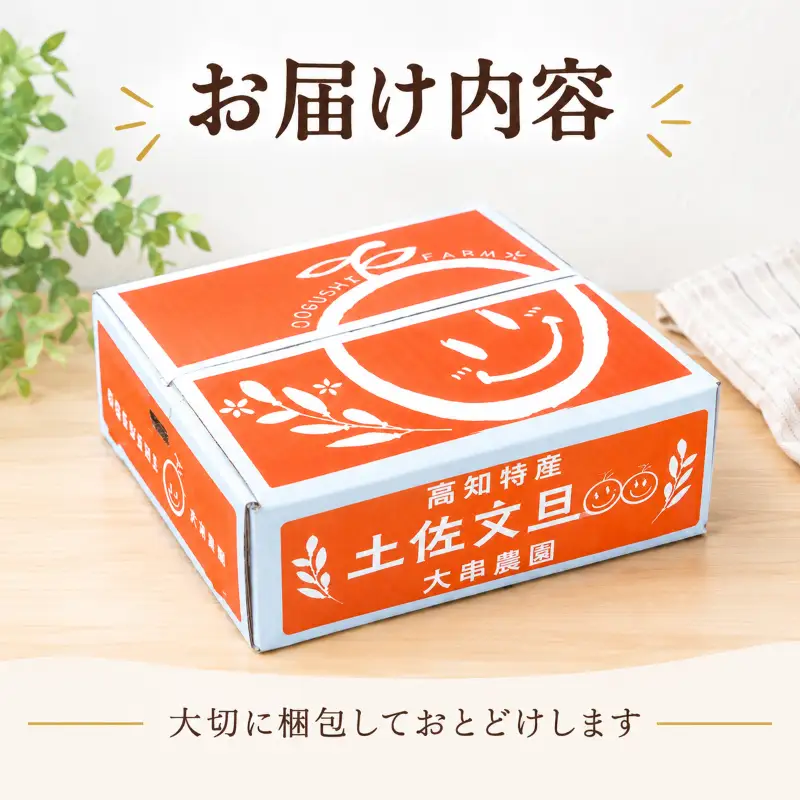 文旦 家庭用 10kg 土佐文旦