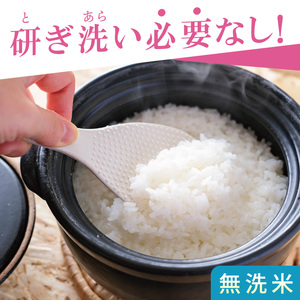 R7年産取手市産あきたこまち 無洗米10kg（5kg×2袋）|お米 米白米 茨城県 取手市（BS014）