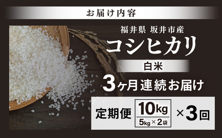 【先行予約】【令和8年産・新米】 定期便 ≪3ヶ月連続お届け≫ 坂井市産 コシヒカリ 白米 10kg (5kg×2袋)×3回 計30kg (中瀬農産) 【2026年10月以降順次発送予定】 【米 こめ お米 精米 ブランド米 こしひかり 国産】 [F-20504]