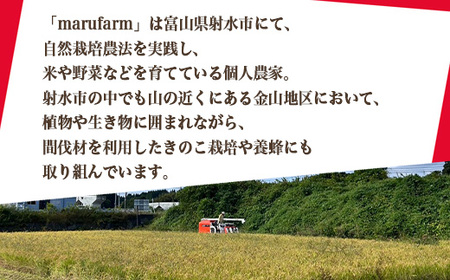 【射水の美味しいお米】【自然栽培農法】自然栽培農家 marufarm 自然栽培米「亀の尾」2kg