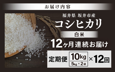 【先行予約】【令和8年産・新米】 定期便 ≪12ヶ月連続お届け≫ 坂井市産 コシヒカリ 白米 10kg (5kg×2袋)×12回 計120kg (中瀬農産) 【2026年10月以降順次発送予定】 【米 こめ お米 精米 ブランド米 こしひかり 国産】 [O-20503]