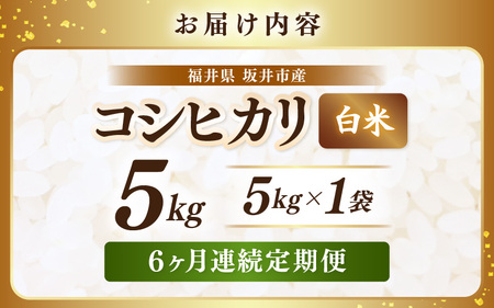 【先行予約】【令和8年産・新米】 定期便 ≪6ヶ月連続お届け≫ 坂井市産 コシヒカリ 白米 5kg×6回 計30kg (アグリ川崎) 【2026年10月以降順次発送予定】 【米 こめ お米 精米 ブランド米 こしひかり 国産】 [F-20505]