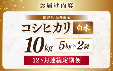【先行予約】【令和8年産・新米】 定期便 ≪12ヶ月連続お届け≫ 坂井市産 コシヒカリ 白米 10kg (5kg×2袋)×12回 計120kg (アグリ川崎) 【2026年10月以降順次発送予定】 【米 こめ お米 精米 ブランド米 こしひかり 国産】 [O-20504]