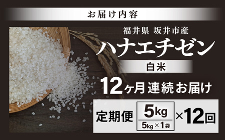 【先行予約】【令和8年産・新米】 定期便 ≪12ヶ月連続お届け≫坂井市産 ハナエチゼン 白米 5kg×12回 計60kg (中瀬農産) 【2026年10月以降順次発送予定】 【米 こめ お米 精米 ブランド米 華越前 国産】 [J-20501]