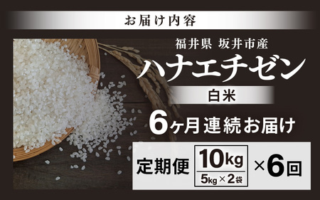 【先行予約】【令和8年産・新米】 定期便 ≪6ヶ月連続お届け≫坂井市産 ハナエチゼン 白米 10kg (5kg×2袋)×6回 計60kg (中瀬農産) 【2026年10月以降順次発送予定】 【米 こめ お米 精米 ブランド米 華越前 国産】 [J-20502]