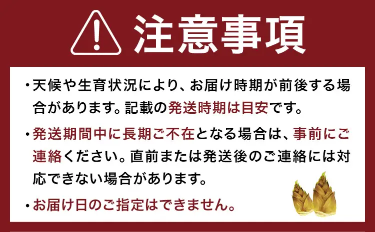 【先行受付】【2回定期便】特選 生たけのこ 食べ比べ 2kg×2回 《3月中旬-4月中旬頃出荷》 熊本県 南関町産 春 筍