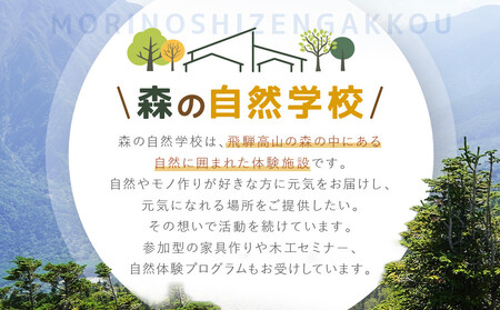 自家製鶏肉＆飛騨牛ミンチのハンバーグ 森のたまご農園 LW007｜ハンバーグ
