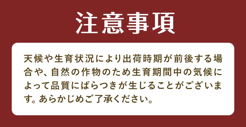 十勝 豊頃町産 ごぼう 約8kg 工房みみずく 北海道 豊頃町