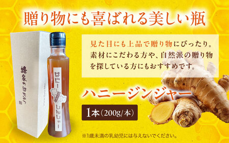 ハニージンジャー シロップ 200ml×1本 はちみつ [APCB006]