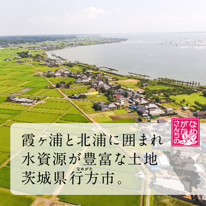 【最短翌日発送】 パックライス コシヒカリ 白米 160g×18食｜パックライス スピード 茨城県 行方市(HE-4)