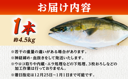 【五島列島直送】 養殖はまち 一本もの（約4.5kg）【有福水産】[RBV008]