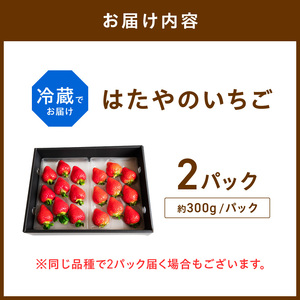 ★先行予約★はたやのいちご 2Pセット[1月中旬より順次発送]【097006C000】
