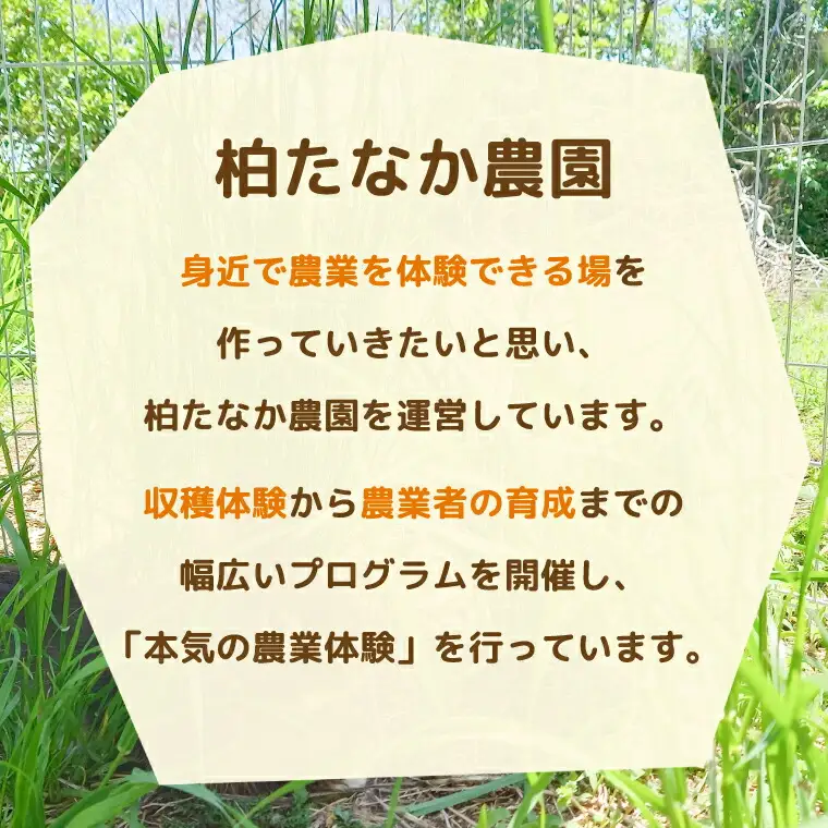 農業体験支援 不登校児童生徒 支援のみ 農業体験支援