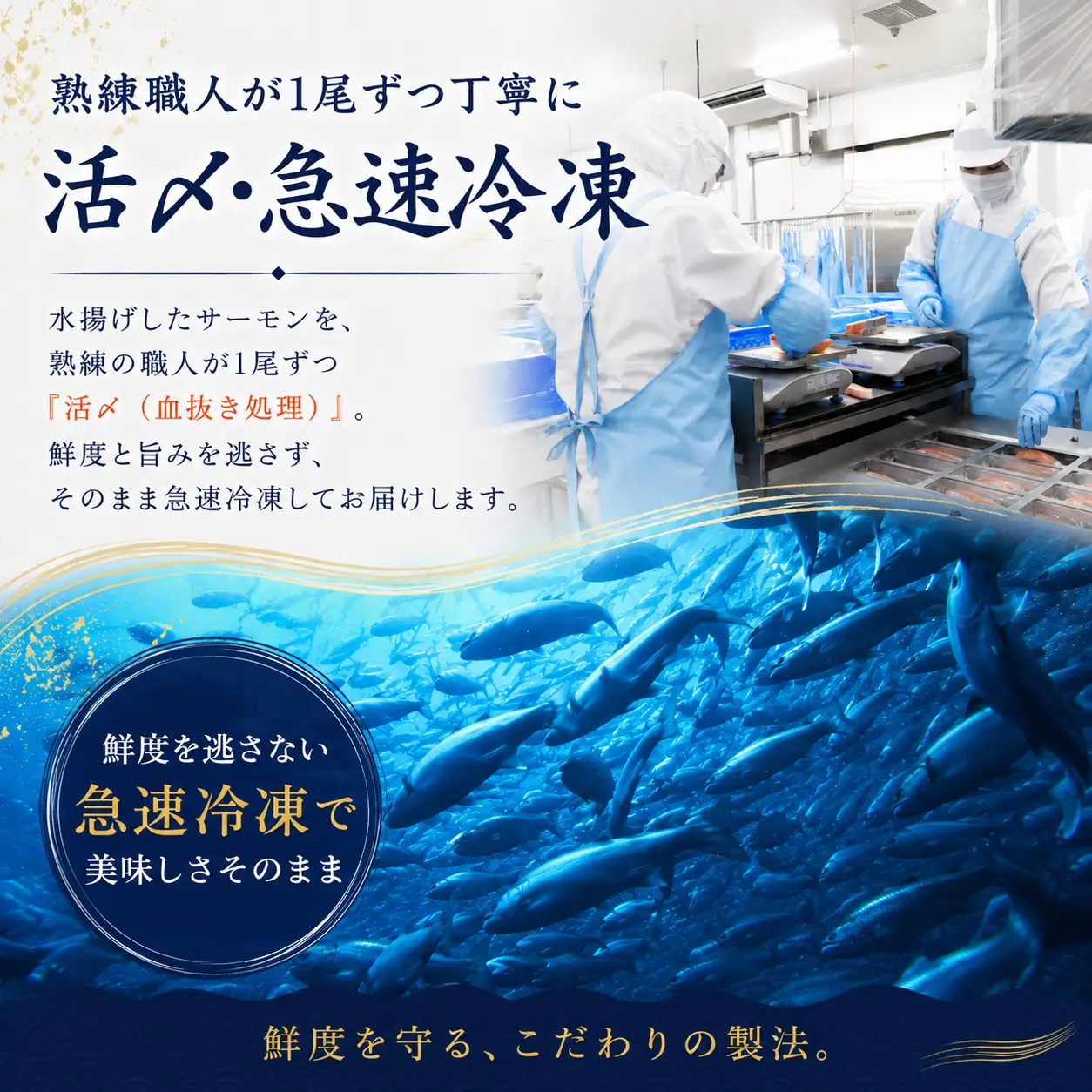 佐渡サーモン 塩鮭切身 約1.5kg 真空包装 国産銀鮭 | 新潟県 佐渡市 サーモン