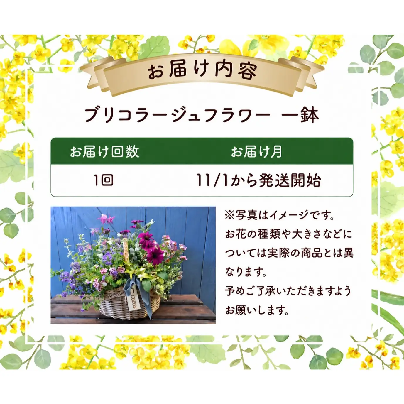 通常便 1回 15~20株!! 季節の寄せ植え 「ブリコラージュフラワー」D-528