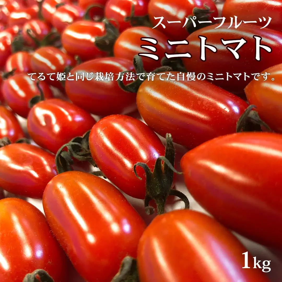 《 2027年 収穫分 》全3回 定期便 フルーツトマト 3種 食べ比べ (毎月1品種) 3ヶ月 KEK 国産 先行予約 糖度9度以上 てるて姫 スーパーフルーツトマト フルーツトマト ブランドトマト ミニトマト 野菜 ギフト 贈答 [BC091sa]