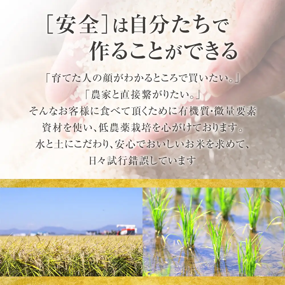 【6回定期便】白米 特A ゆめぴりか 2kg フロントライン 北海道 旭川市 定期便 精米 ブランド米 _05549