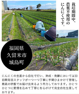 久留米産　熟成黒にんにく　6袋セット_熟成 黒にんにく セット 7粒入り×6袋 久留米産 生にんにく 長時間熟成 自己発酵 アミノ酸 ポリフェノール 豊富 抗酸化作用 抗アレルギー作用 発酵 糖度 ドライフルーツ 食感 自然素材 サプリメント 国産 食品 常温 お取り寄せ 福岡県 久留米市 送料無料 〔Ca102〕