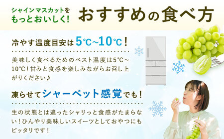 【先行予約】シャインマスカット 秀品 約2kg(3-7房) 