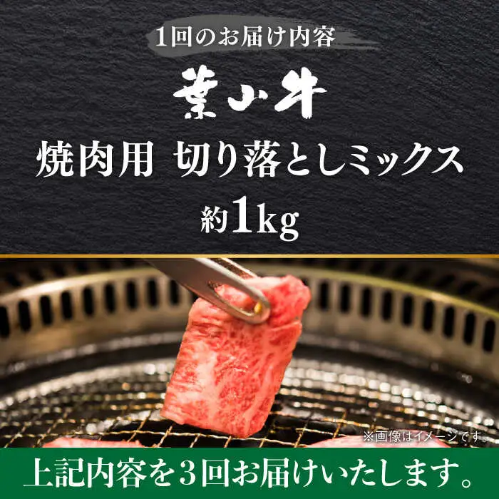 【全3回定期便】葉山牛1kg　焼肉用ミックス 牛肉（ロース、モモ、カルビ等 4種類 ) 食べ比べ[ASBD034]