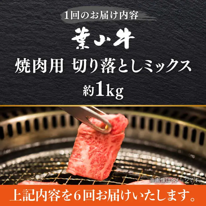 【全6回定期便】葉山牛1kg　焼肉用ミックス 牛肉（ロース、モモ、カルビ等 4種類 ) 食べ比べ[ASBD035]
