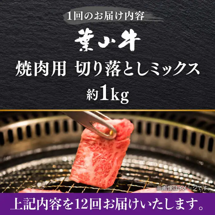 【全12回定期便】葉山牛1kg　焼肉用ミックス 牛肉（ロース、モモ、カルビ等 4種類 ) 食べ比べ[ASBD036]