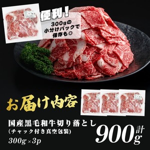 国産 黒毛和牛 切落し 計900g 小分け 真空パック a2-107
