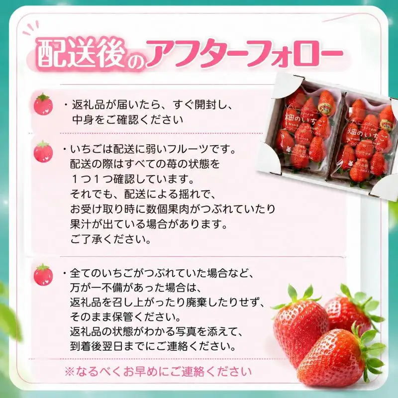 【2月~3月発送】畑のいちご やよいひめ 4パック いちご
