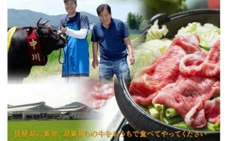 令和4年度 全国肉用牛枝肉共励会 最優秀賞受賞 中川畜産の近江牛しゃぶしゃぶ用MIX 800g （株）髙島屋洛西店 滋賀県 東近江市 D18 牛肉 A5 霜降り 和牛 高級