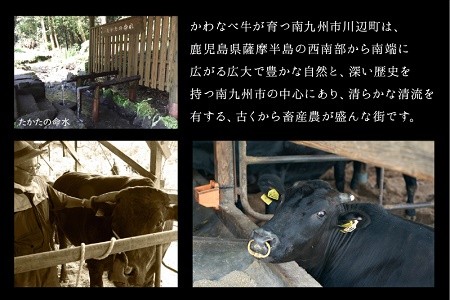 4等級以上!鹿児島県産黒毛和牛ヒレステーキ2枚【配送不可地域：離島】【1185784】