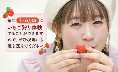いちご訳あり品種指定不可いちご【400g(200g×2)】