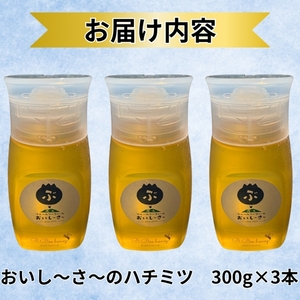 長野県産はちみつ 900g（純粋・非加熱・天然100%） 信州 佐久市 無添加 国産 アカシア 蜂蜜 ハニー パン ヨーグルト 希少 ブルーベリー はちみつ