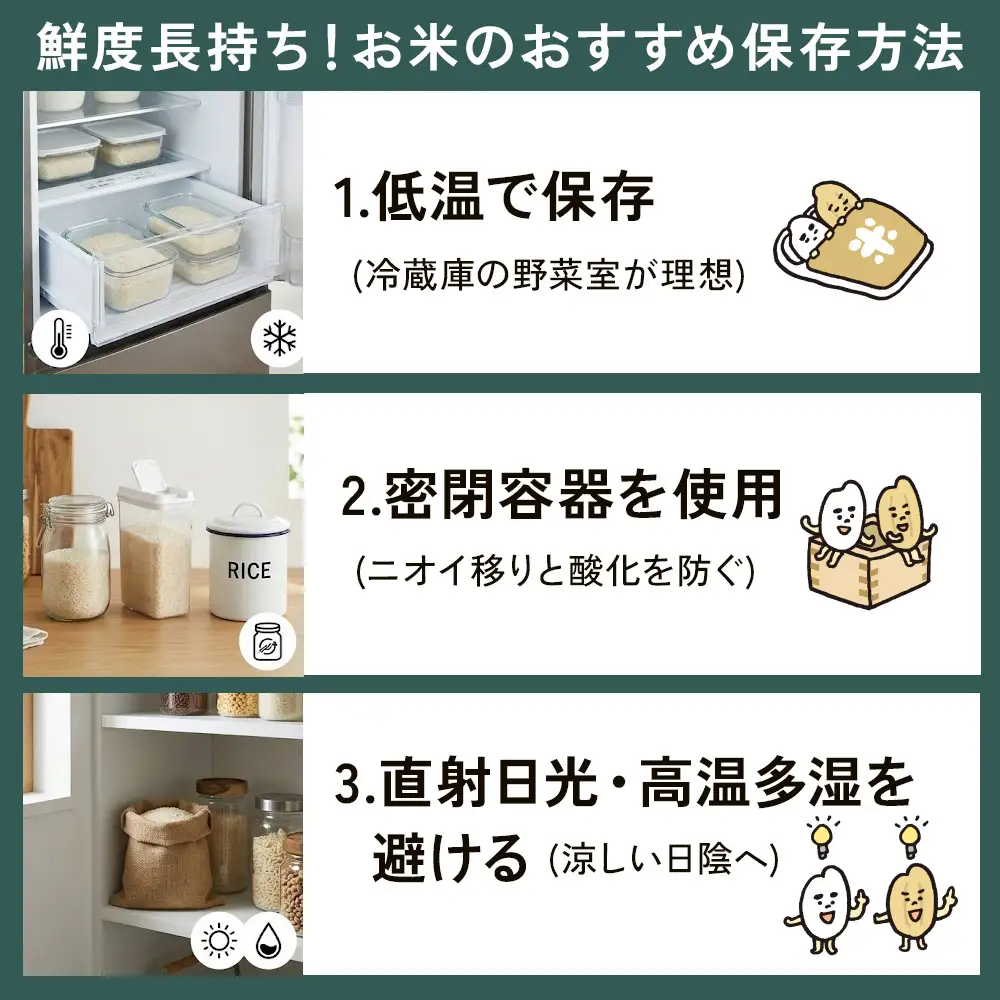 【令和7年産】近江米きぬむすめ白米5kg