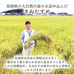 【在庫限定】令和7年産米 きぬむすめ 10kg （大上農園）数量限定 米 白米 きぬむすめ
