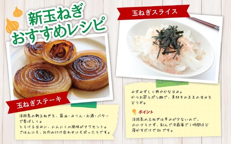 海月館 自社農場栽培！淡路島産 玉ねぎ 5kg