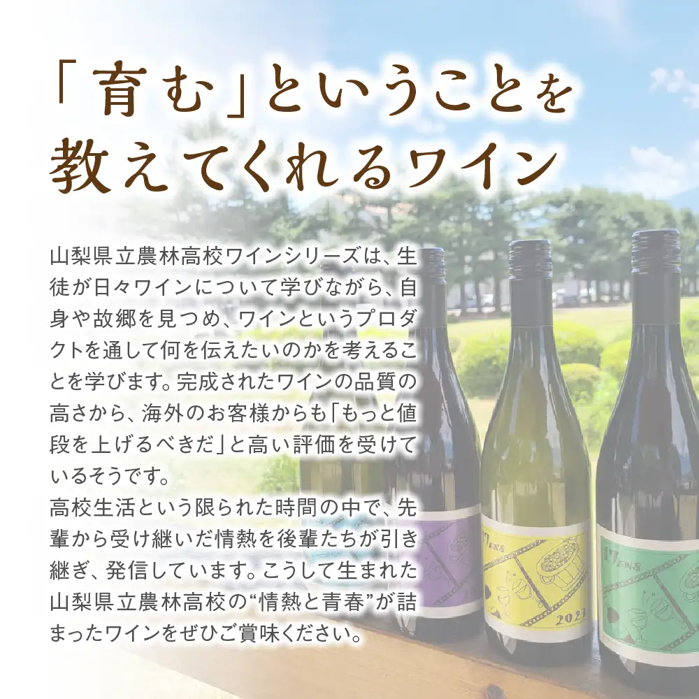 赤白ワイン 2本セット 農林高校ワイン 2024ヴィンテージ定番 