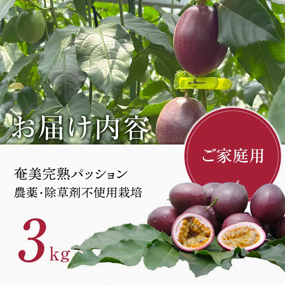 期間限定【農薬不使用】奄美完熟パッションフルーツ 約3kg（農家直送）｜食品微生物　バイオスティミュラント　土壌フローラの改善　点滴潅水　皇室献上　送料無料　国産　無農薬