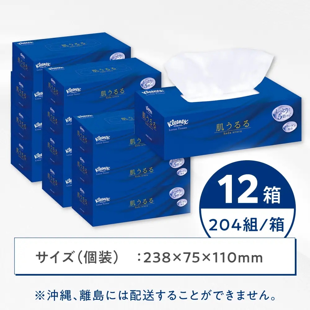 ティッシュペーパー ローション肌うるる 12箱(３箱ｘ4パック)開成町 ティッシュ ペーパー[BDBH005-2]