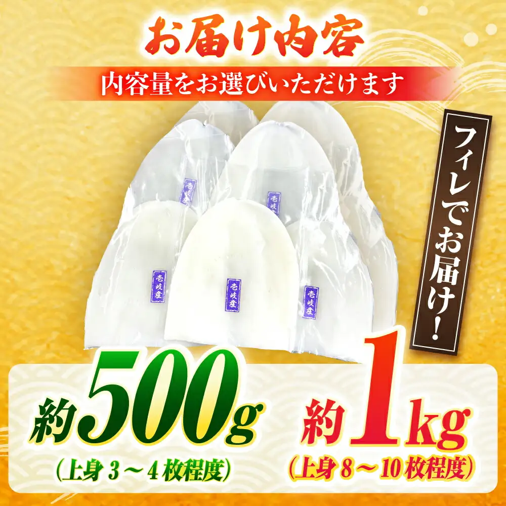 【お中元】アオリイカ 刺身用 500g [JCC023] イカ刺し