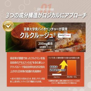 サプリ KIGASURE リボーン クルクミン 飲み会 サプリ【30日分 60粒】