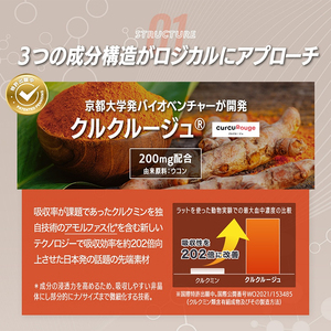 サプリ KIGASURE リボーン クルクミン 飲み会 サプリ【試しサイズ 10粒】