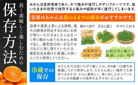 袋掛けみかん 夢味 ときめき 贈答用 熊本県産 約3kg (大or中) 柑橘《2027年1月中旬-2月中旬頃出荷》 みかん フルーツ 果物 3kg 苓北町産 熊本県 苓北町
