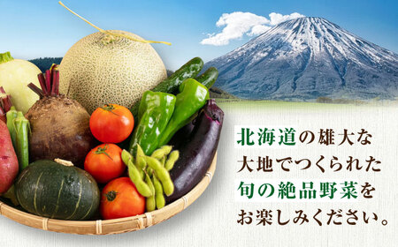 【2026年9月上旬以降順次発送】朝採れ 旬の野菜 10品目 野菜 先行予約 北海道 産地直送 旬 詰合せ [AJAH032]