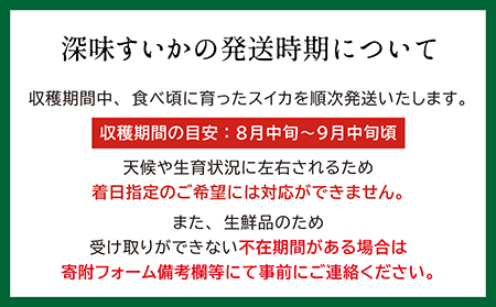 【2026年8月下旬発送開始】【訳あり】北海道産 黒皮 深味すいか  中玉 5.5kg以上 1玉  有機農産物（JAS認証）　高糖度　化学農薬不使用　オーガニック　有機農業　スイカ　すいか　西瓜　 高級西瓜　黒皮すいか　黒玉スイカ　フルーツ　果物　くだもの 　B品　規格外