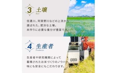 米 【3か月定期便】R7年産 新潟県産 こしいぶき 10kg （精米）