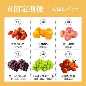 【定期便6回】 お試しパック フルーツ 果物 定期便 いちご 桃 マスカット 丸栄青果