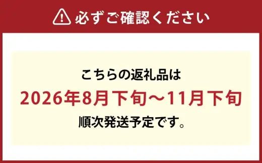 ご家庭用 シャインマスカット 晴王 3～6房 計約1.5kg 【2026年8月下旬～11月下旬迄発送】 岡山 種無し 種なし マスカット 果物 くだもの フルーツ ぶどう ブドウ 葡萄 冷蔵