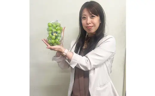 ご家庭用 シャインマスカット 晴王 約400g×1房 【2026年8月下旬～11月下旬迄発送】 岡山 種無し 種なし マスカット 果物 くだもの フルーツ ぶどう ブドウ 葡萄 国産 冷蔵