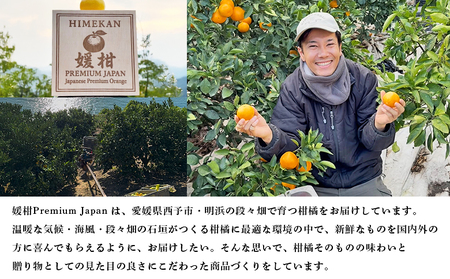 ＜【木箱入り】温州みかん 贈答用（4個×2箱）＞ 果物 フルーツ 蜜柑 みかん ミカン 柑橘 温州みかん 愛媛県産 ギフト 特産品 媛柑PremiumJapan 愛媛県 西予市【常温】『2025年12月～2026年1月迄に順次出荷予定』 AHP0002